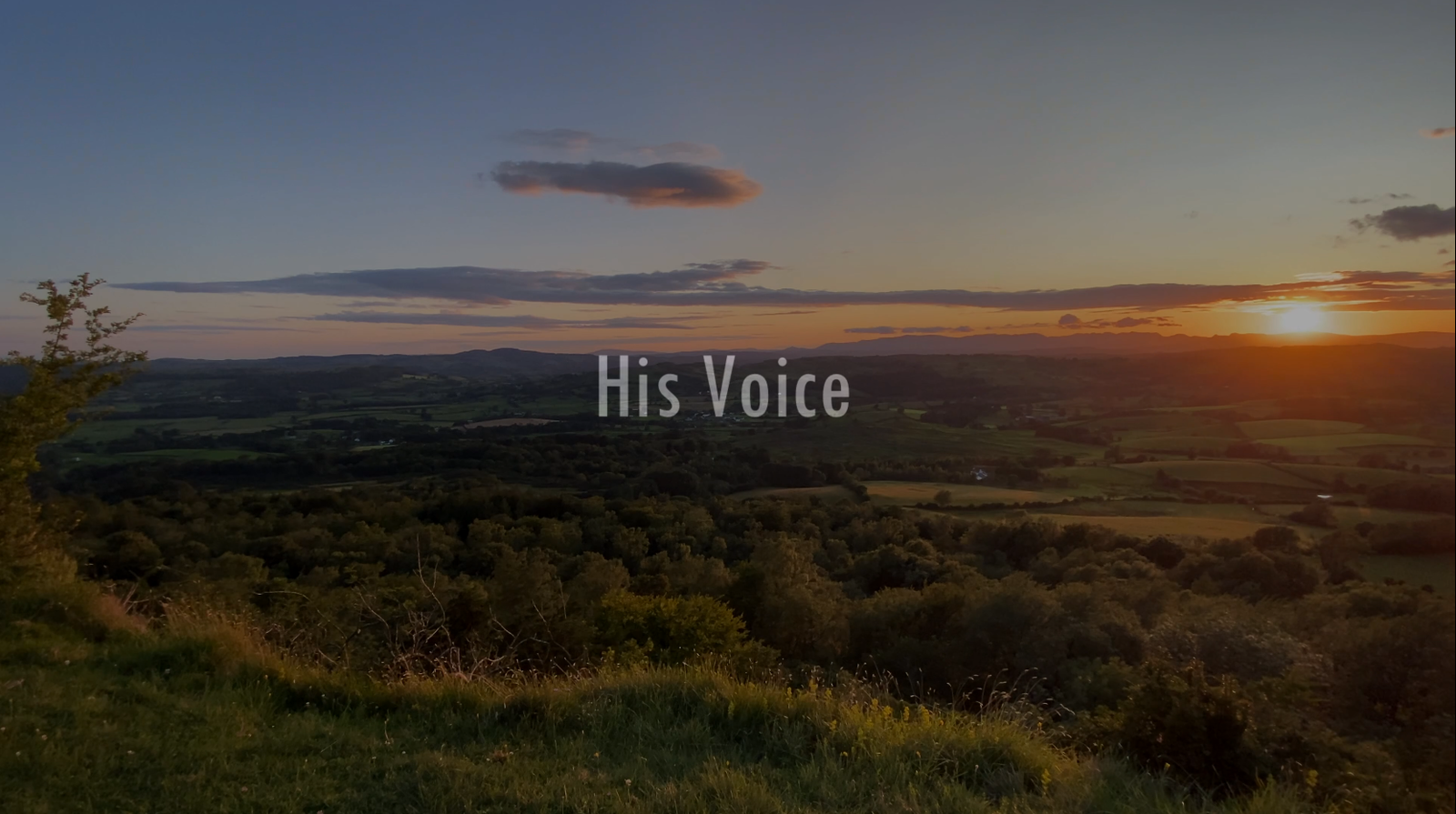 His Voice