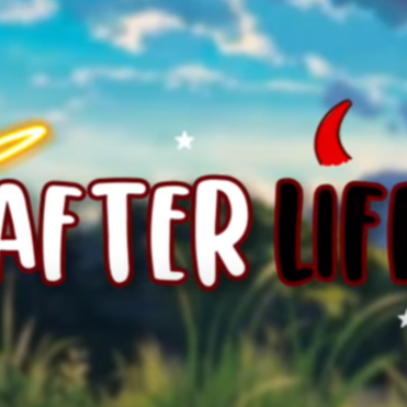Afterlife