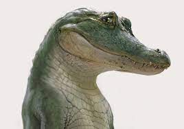 Lyle Lyle Crocodile