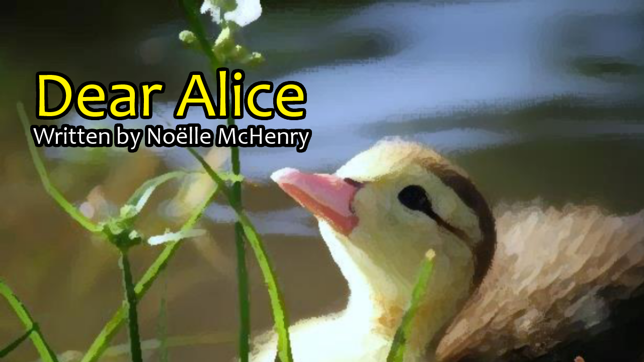 Dear Alice