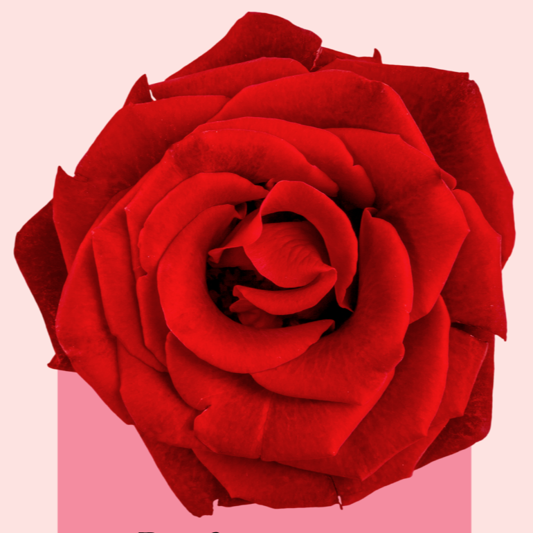 She Is A Rose Poem 