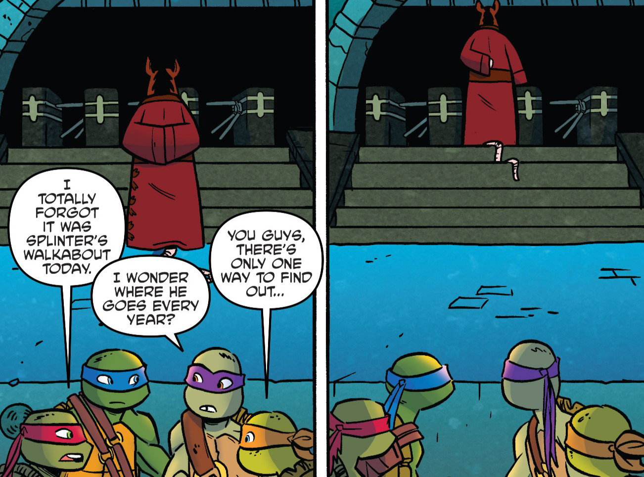 TMNT : Walkabout