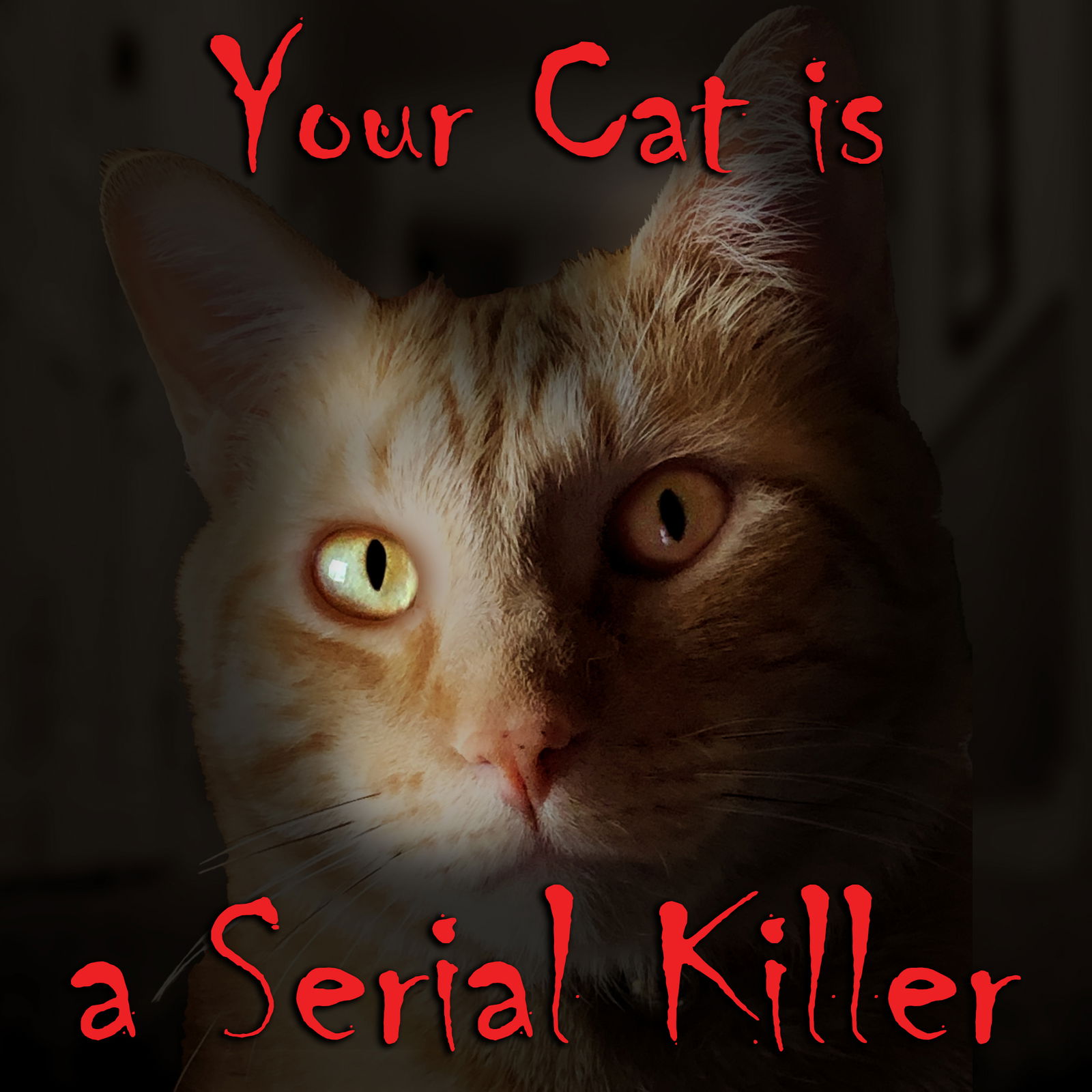 Your Cat is a Serial Killer