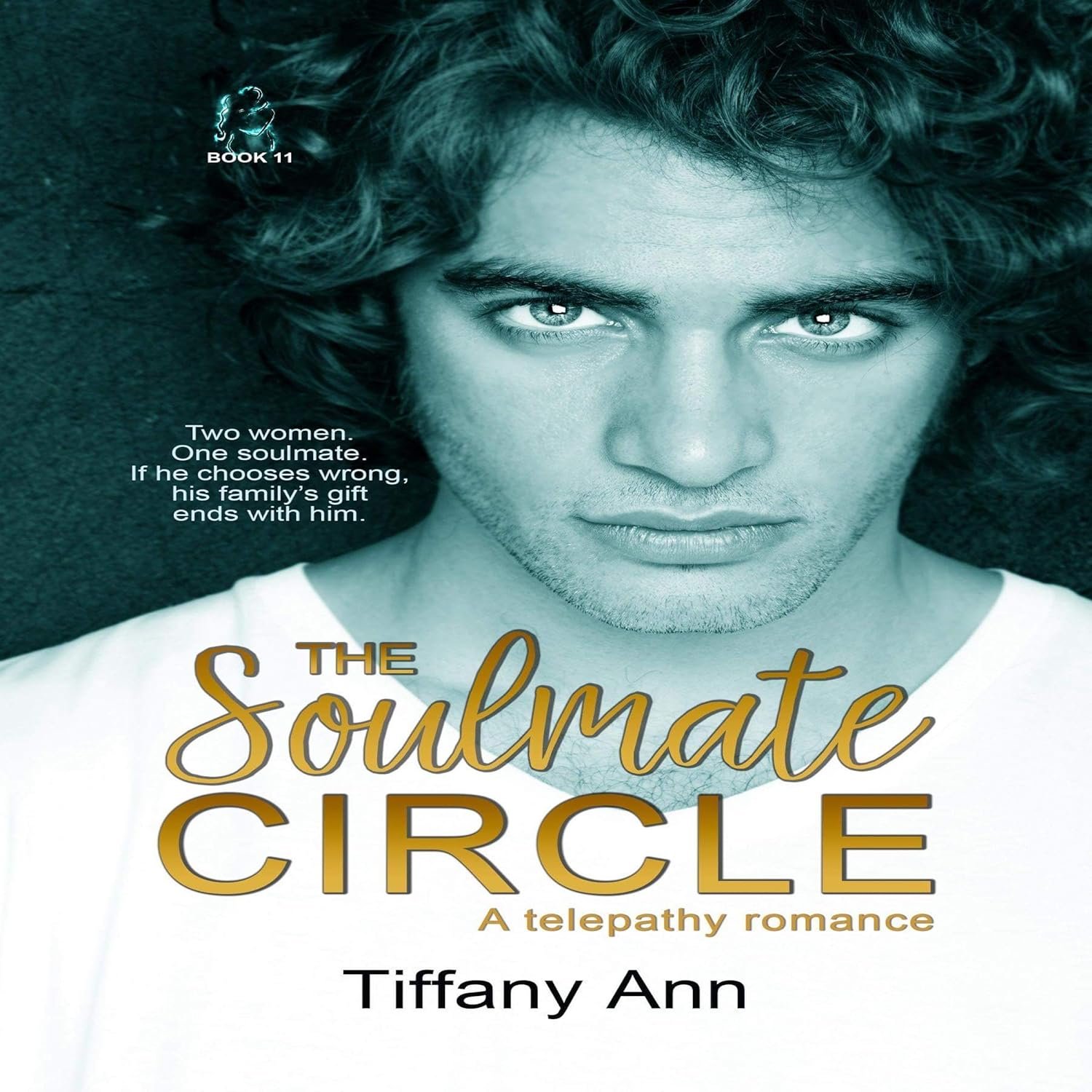The Soulmate Circle : A Dark Fated Mates Witch Romance (The Soulmate Call Book 11)
