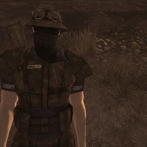 NCR Marines - Fallout: New Vegas (Mod)