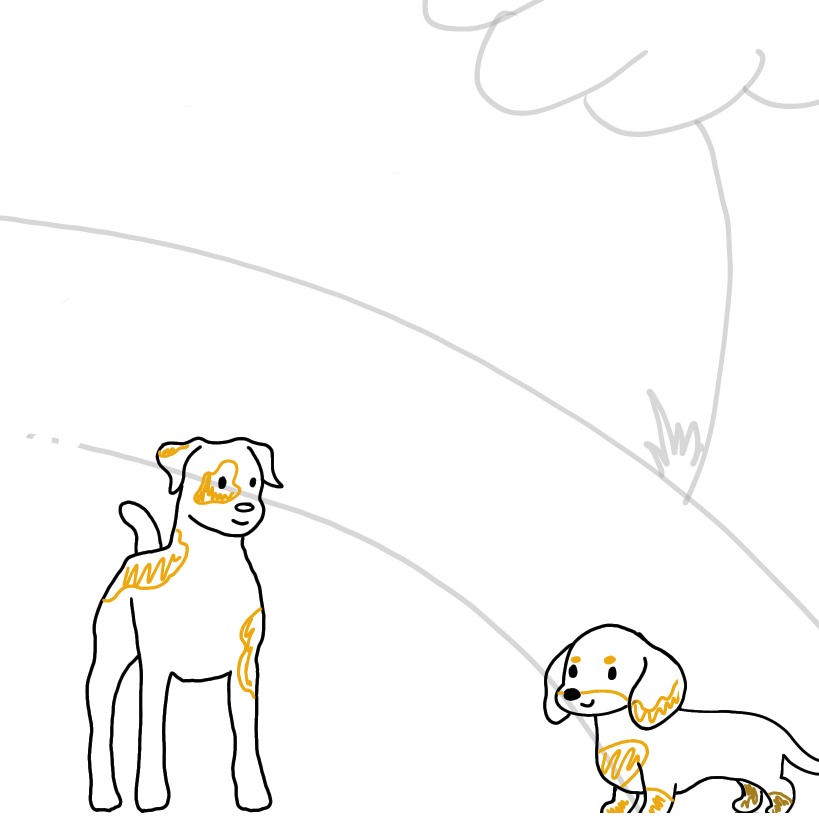 Cookie the Jack Russell Dog: The Movie