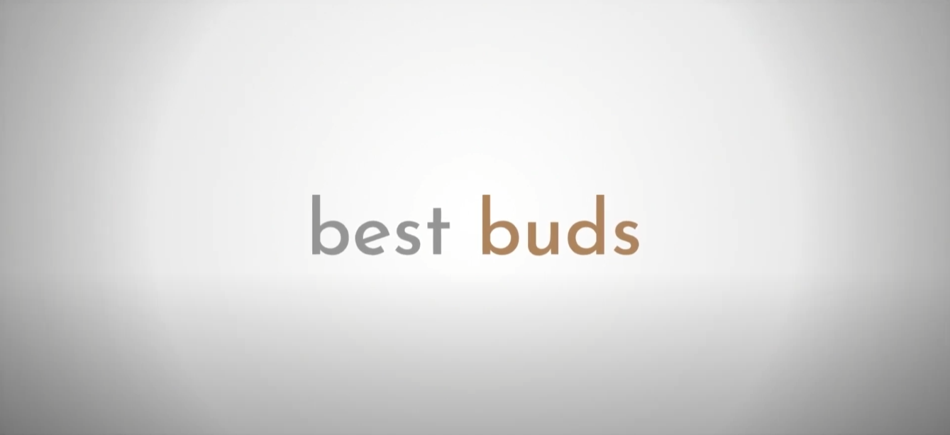 Best Buds (Minecraft Series)