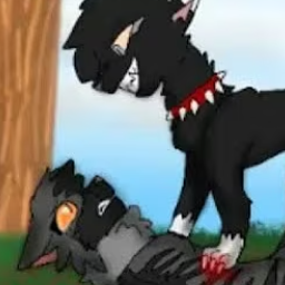 More Than Fur Deep