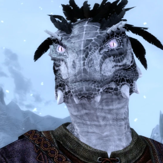 NEETHMARIN - An Argonian Scholar Follower Mod