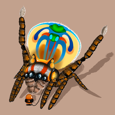 Jadzia_Spider