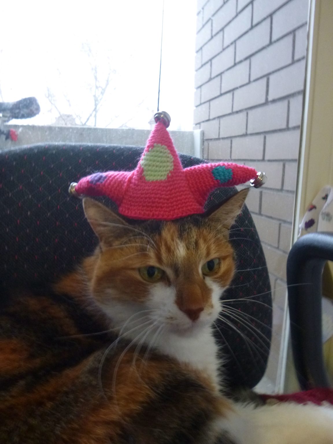 F꩜LLI3 JESTER (᨟ ͜● ᨟)