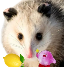 Lemon Possum