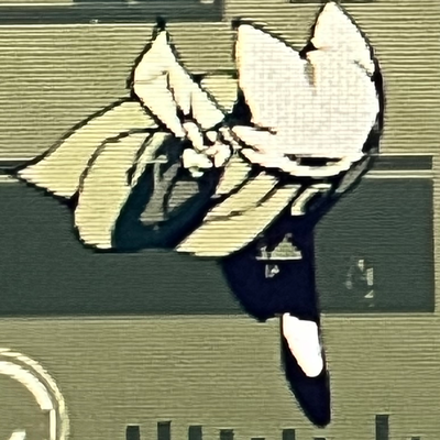 Falcon