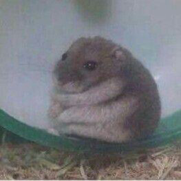 Cursed with Glorious Purpose