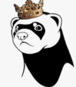 Ferret_Kinda_Guy