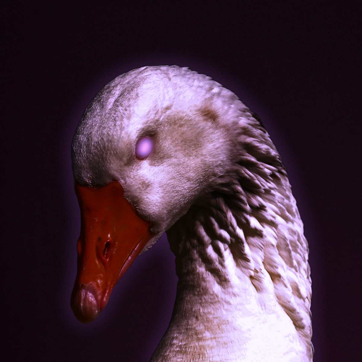 Darknova