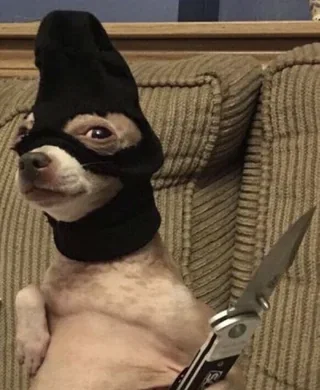 Kwispy
