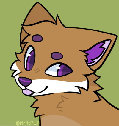 Shae the fox