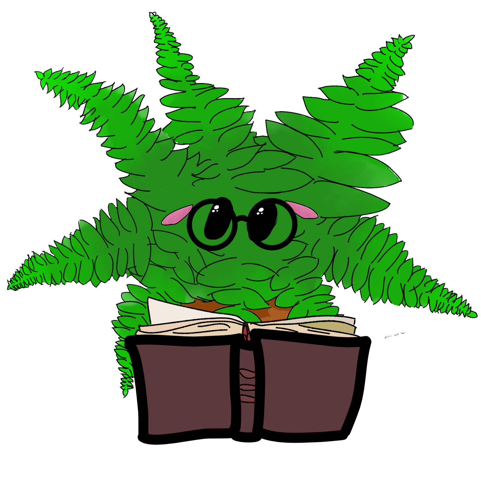 Fern Woods