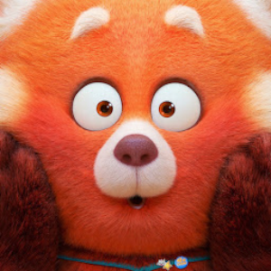 Turning Red Fan Projects