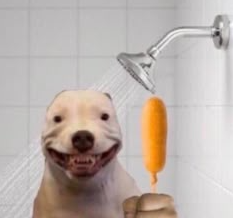 Tdog