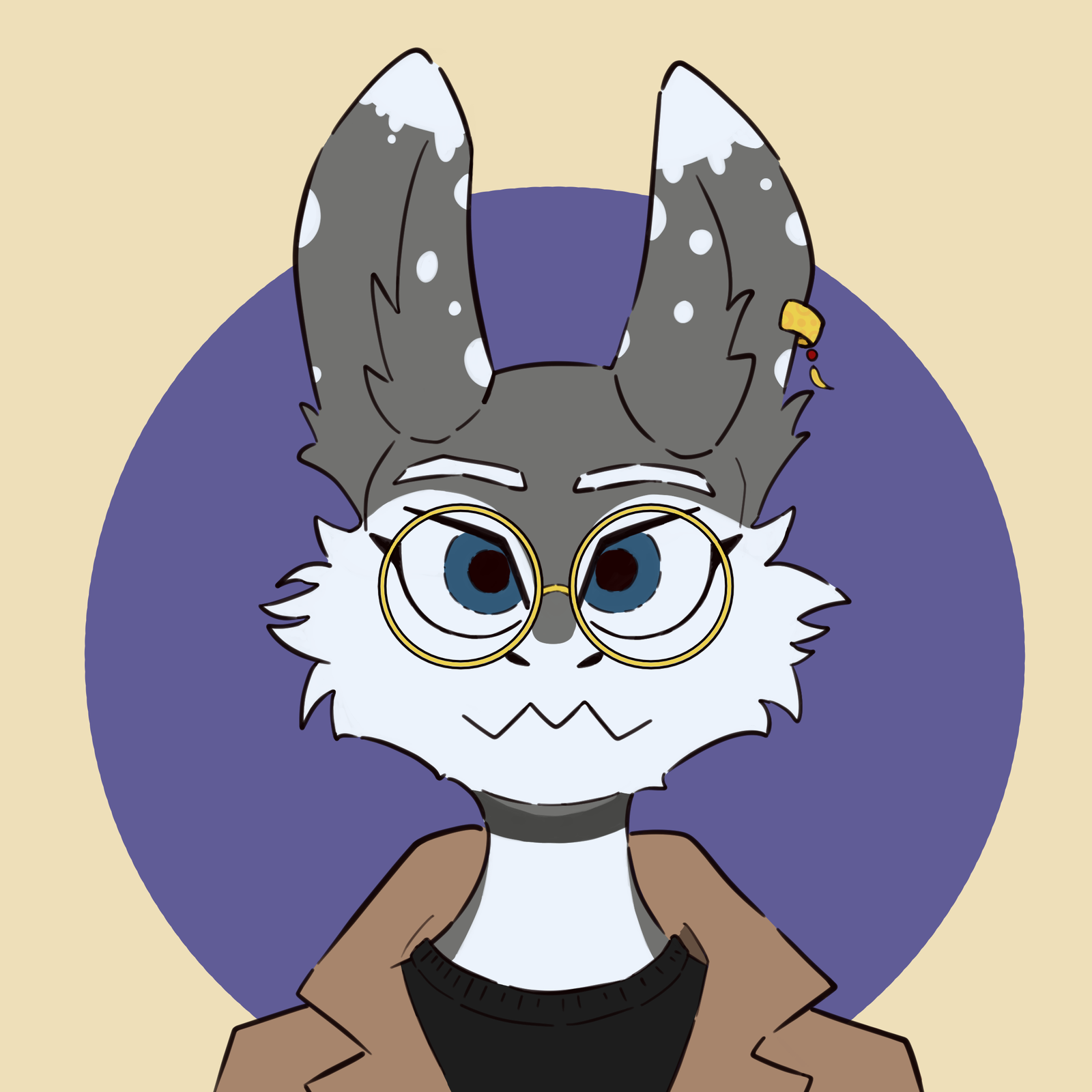 Bunny shark
