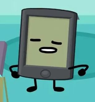 A Big BFDI Fan