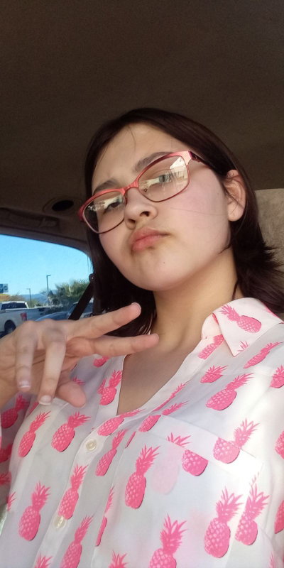 Jerica
