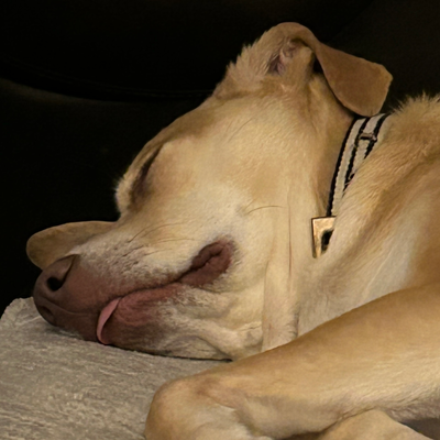 Excited To Be in the Club