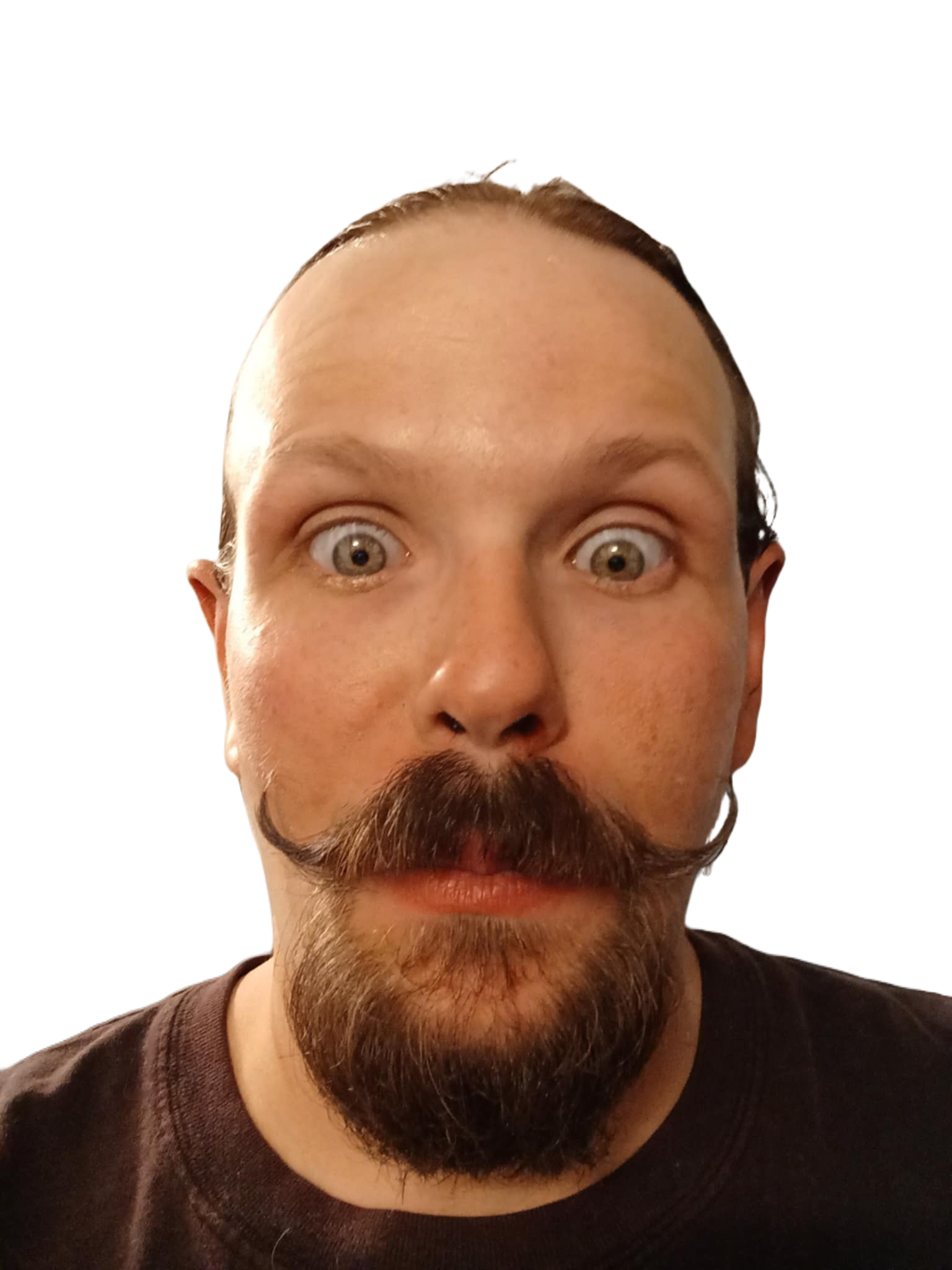 Zebra--Sterling Brickhaus