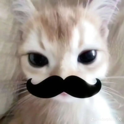 Vivi_