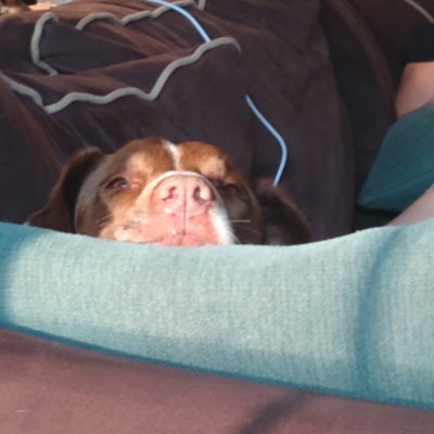 Owen Patrick Vitus Taylor III