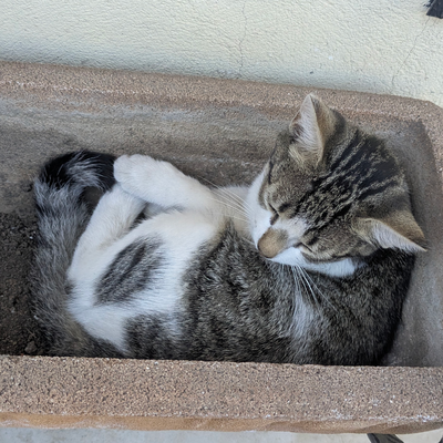kluddy