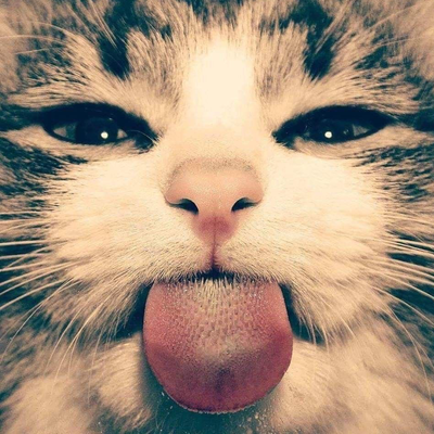 monaa