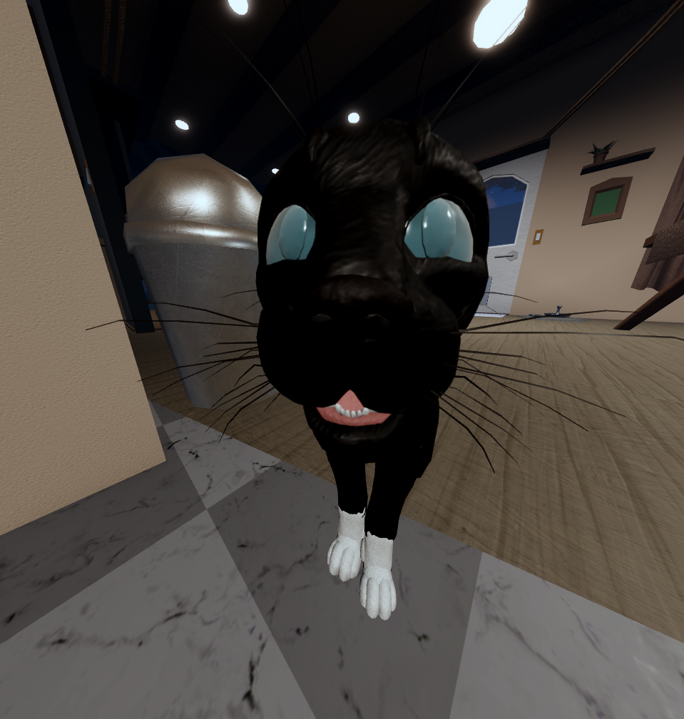 KittyTvWCYT