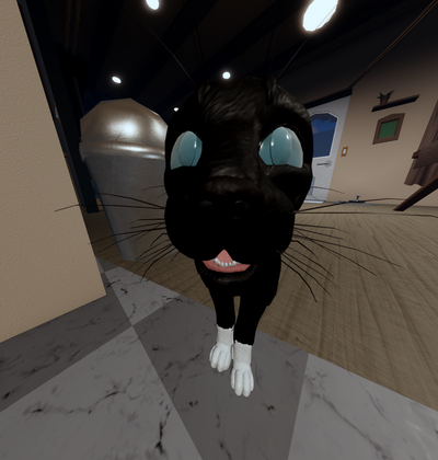 KittyTvWCYT