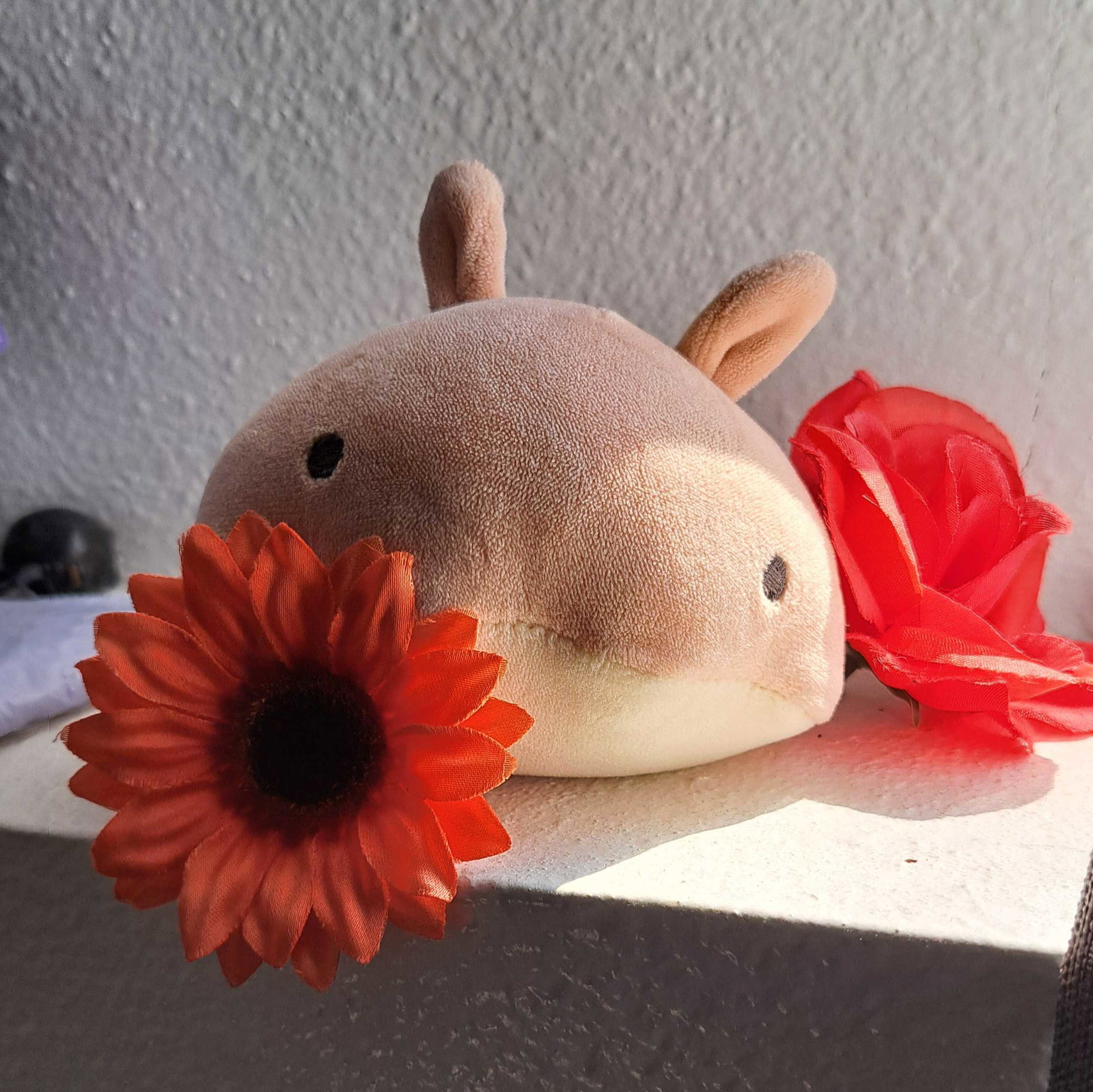 rinmeraki