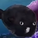 FluffyFondant