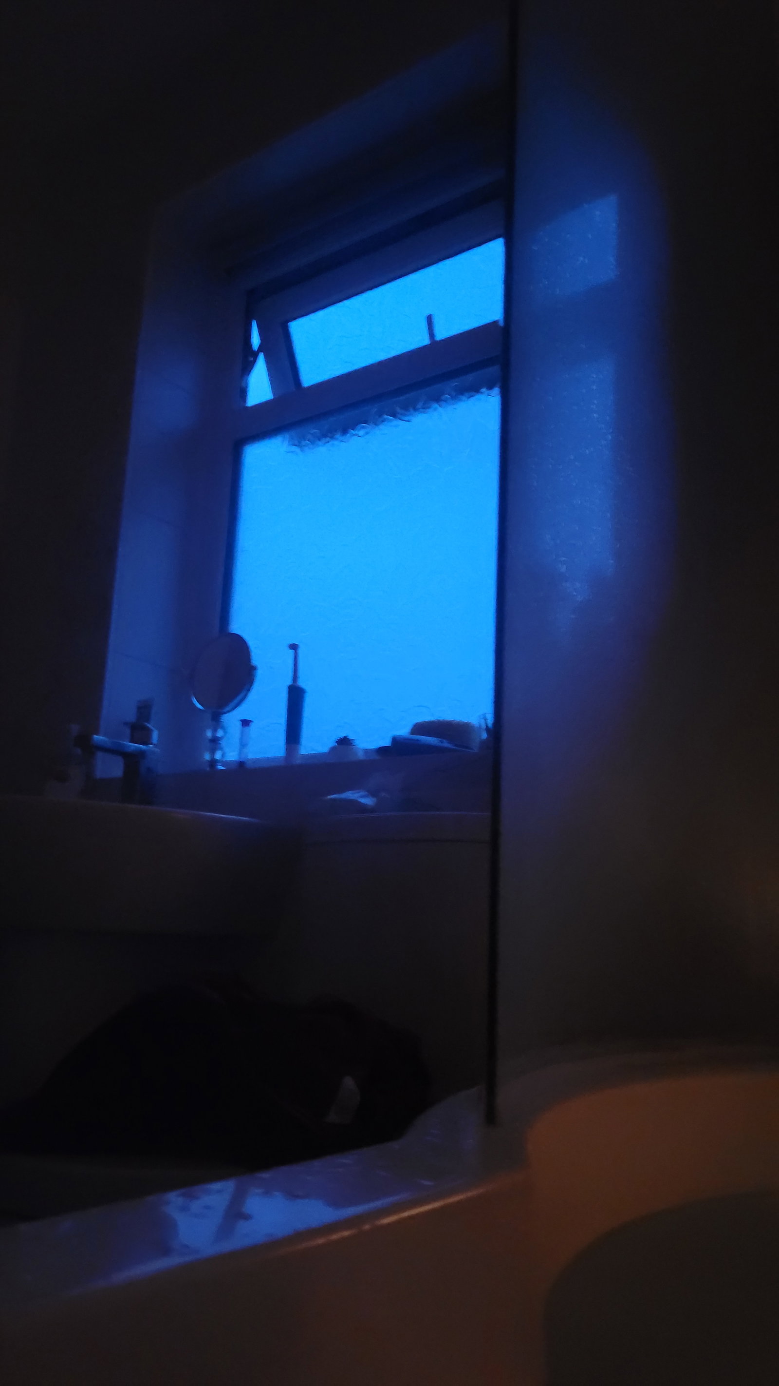 ErinBlueIce