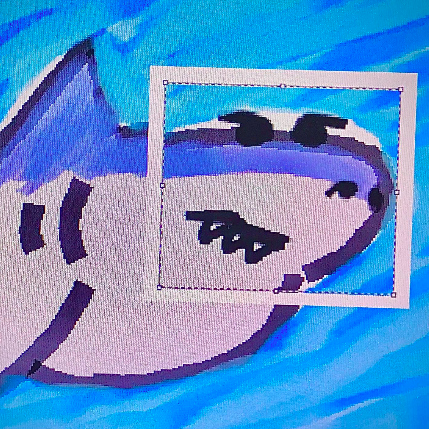 SharkS