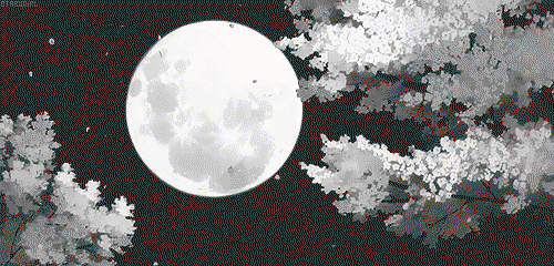 mori 212