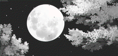 mori 212