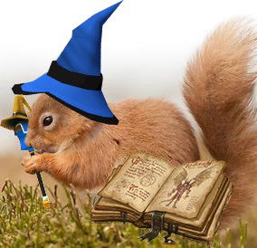 CaptainSquirrel