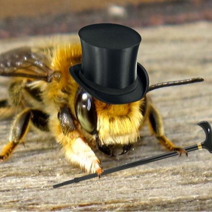 T.B. 