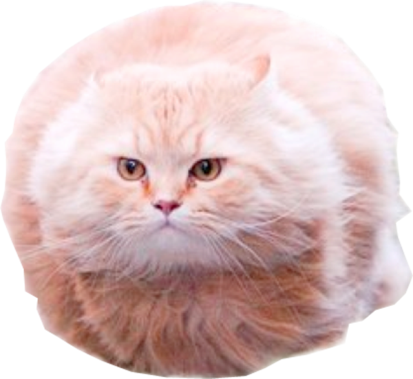 Burned with Glorious Purpose