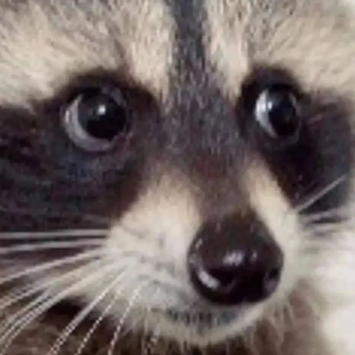 Randal Raccoon