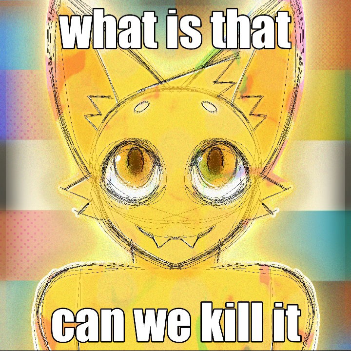 bingus questionabledoctor
