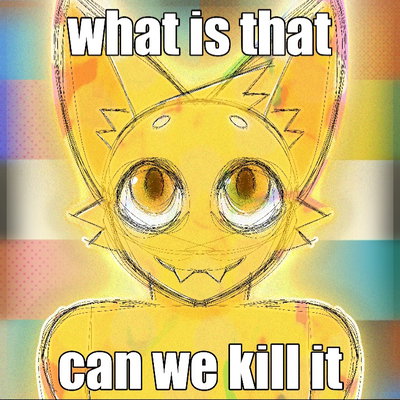 bingus questionabledoctor