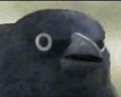 Rhaymus