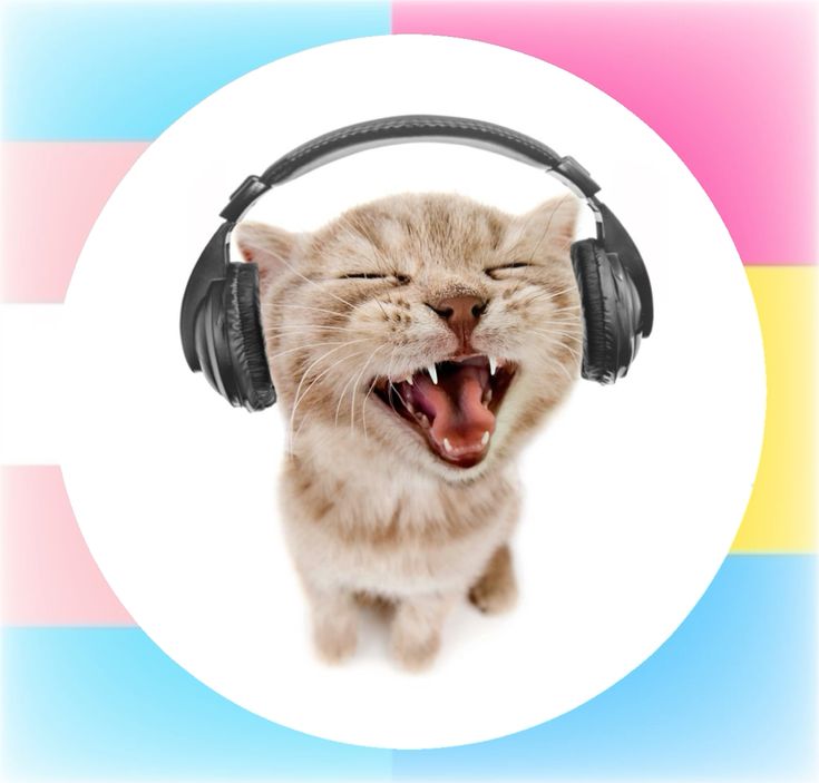 ☆ Ｃｏｓｍ o ☆